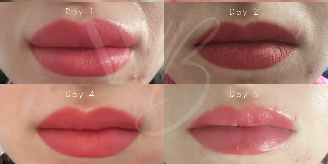 lip blush healing process